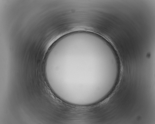 X0000115770877200911131019