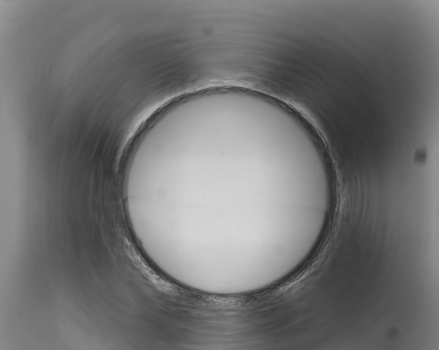 X0000115770878200911131019