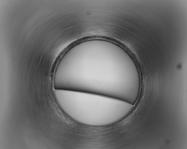 X0000115770879200911131019