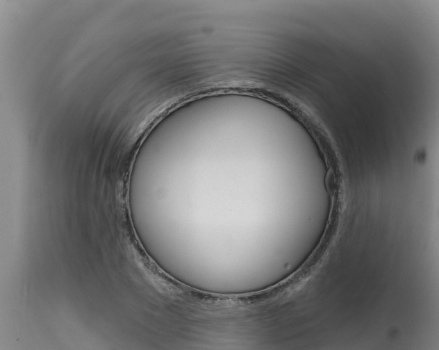 X0000115770881200911131019