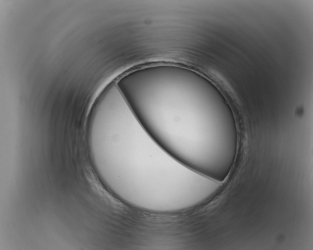 X0000115770884200911131019