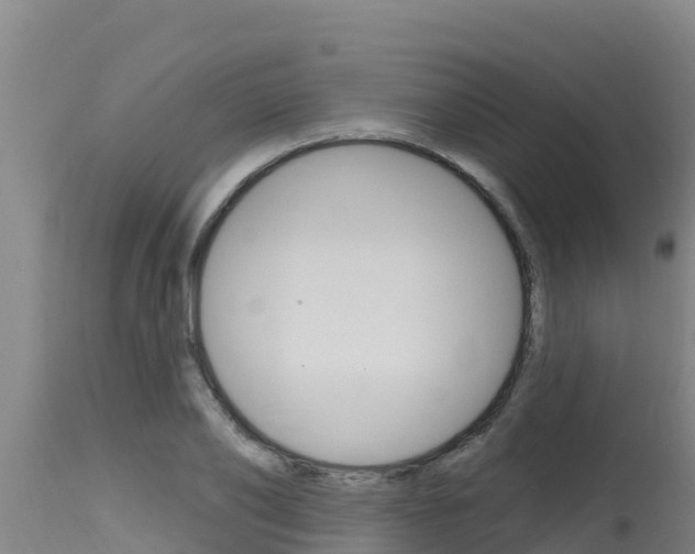 X0000115770886200911131019