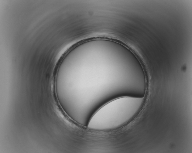 X0000115770888200911131019