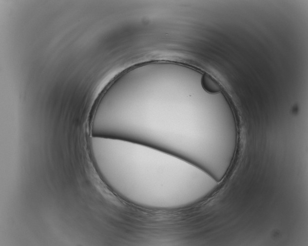 X0000115770891200911131019