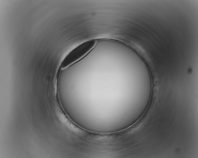 X0000115770892200911131019