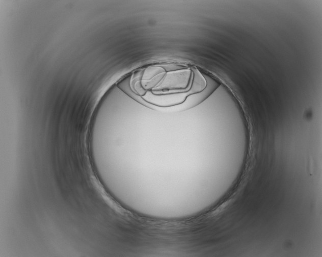 X0000115770893200911131019
