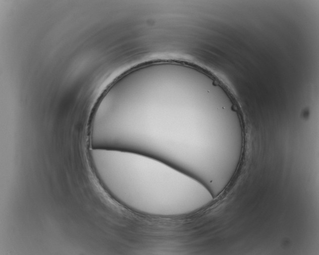 X0000115770895200911131019