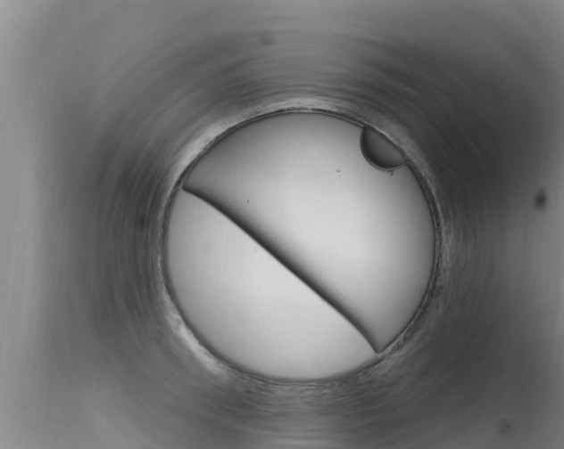 X0000115770898200911131019
