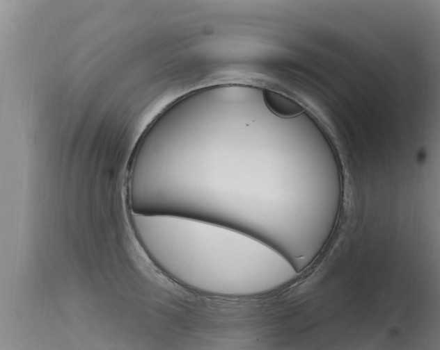 X0000115770899200911131019