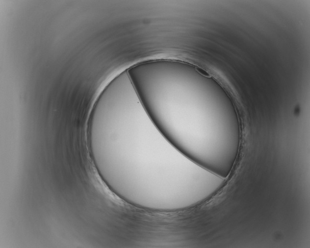 X0000115770900200911131019