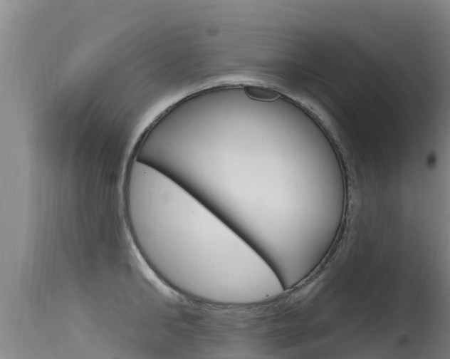 X0000115770902200911131019