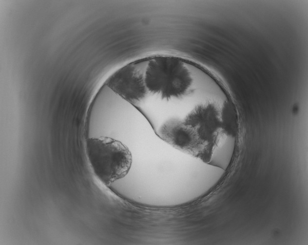 X0000115770903200911131019