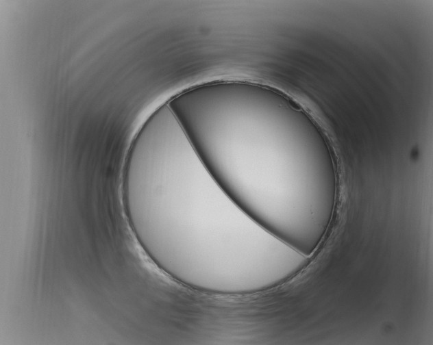 X0000115770904200911131019
