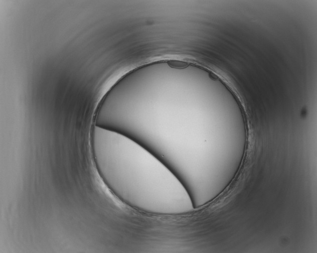 X0000115770906200911131019