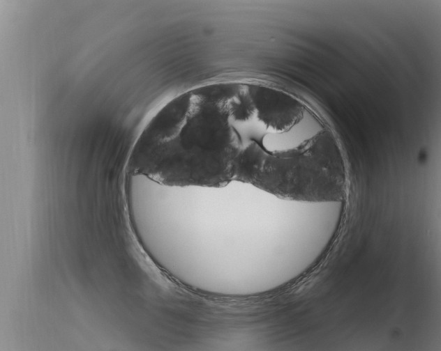 X0000115770907200911131019