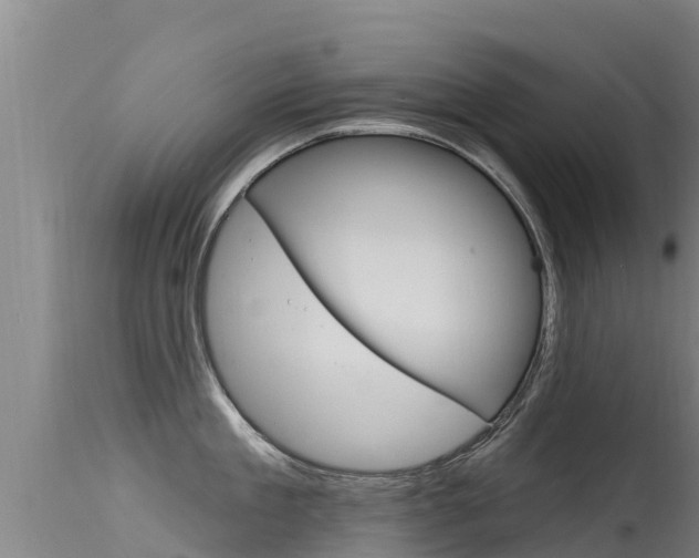 X0000115770909200911131019