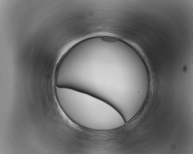 X0000115770910200911131019