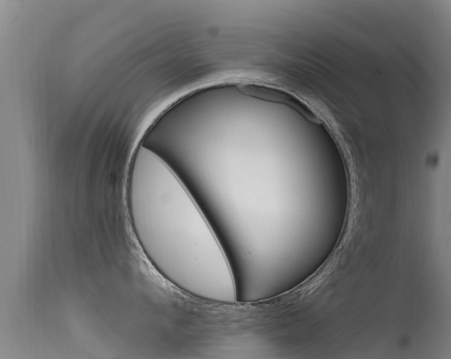 X0000115770912200911131019