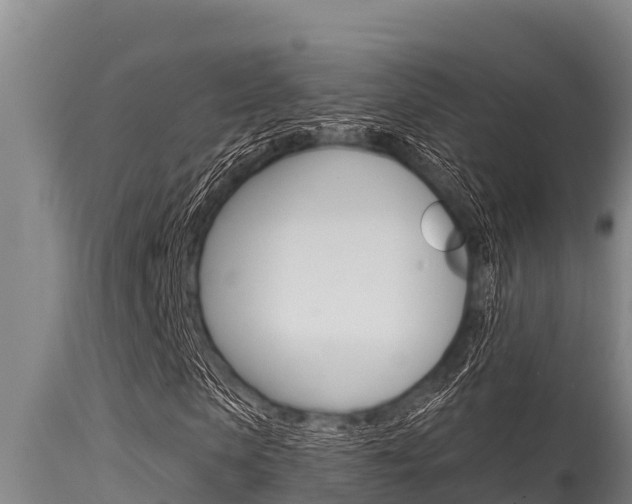 X0000115770913200911131018