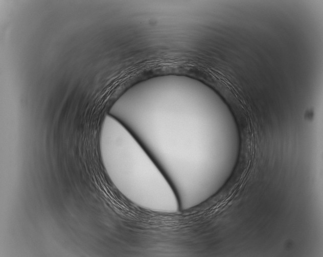 X0000115770914200911131018