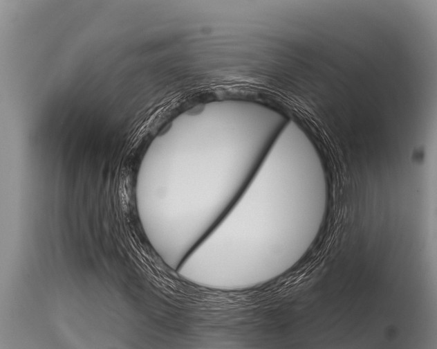 X0000115770915200911131018