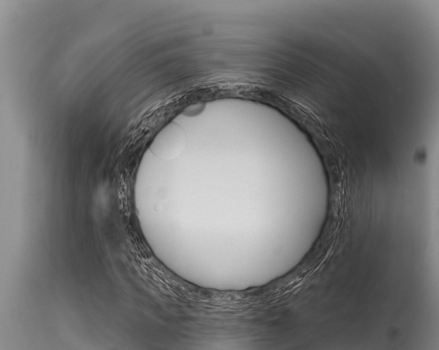 X0000115770917200911131018