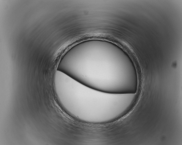 X0000115770922200911131018