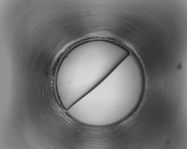 X0000115770923200911131018