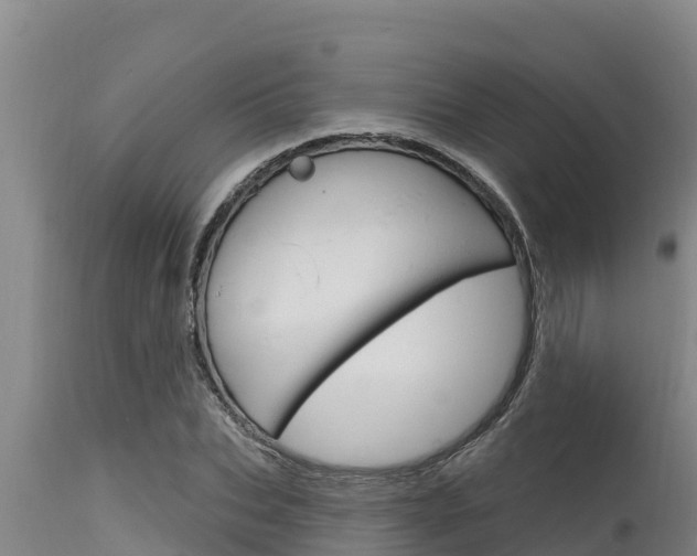 X0000115770927200911131018