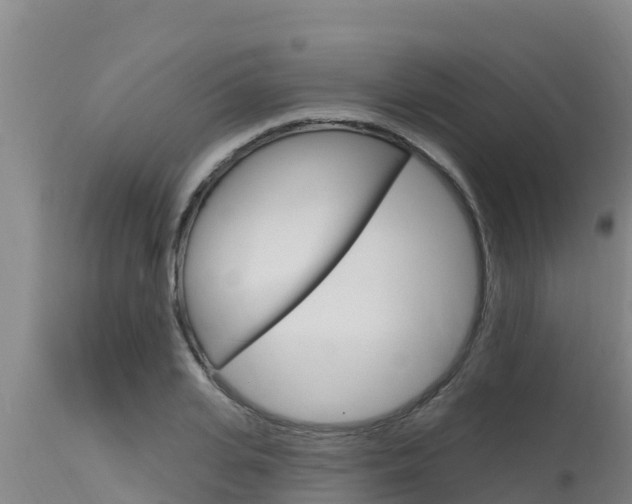X0000115770935200911131018