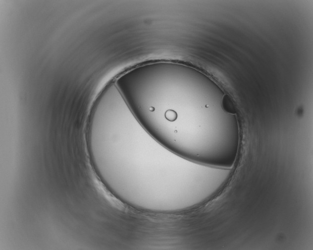 X0000115770942200911131018