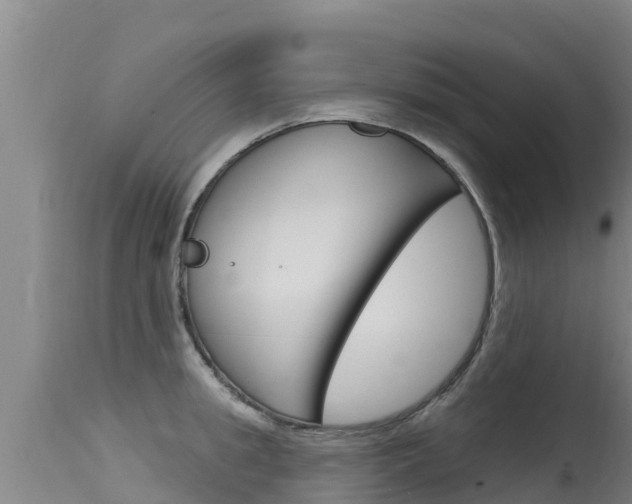 X0000115770949200911131018
