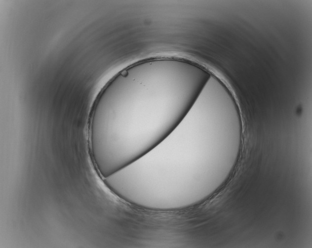 X0000115770951200911131018