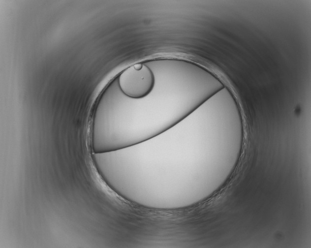 X0000115770955200911131018