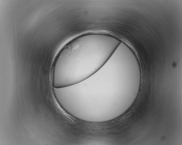 X0000115770959200911131019