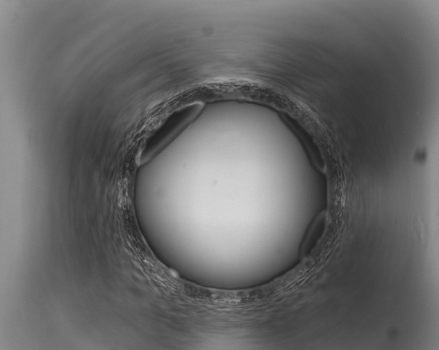X0000115770965200911131018