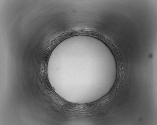 X0000115770966200911131018