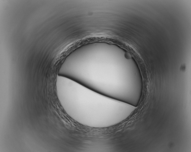 X0000115770968200911131018