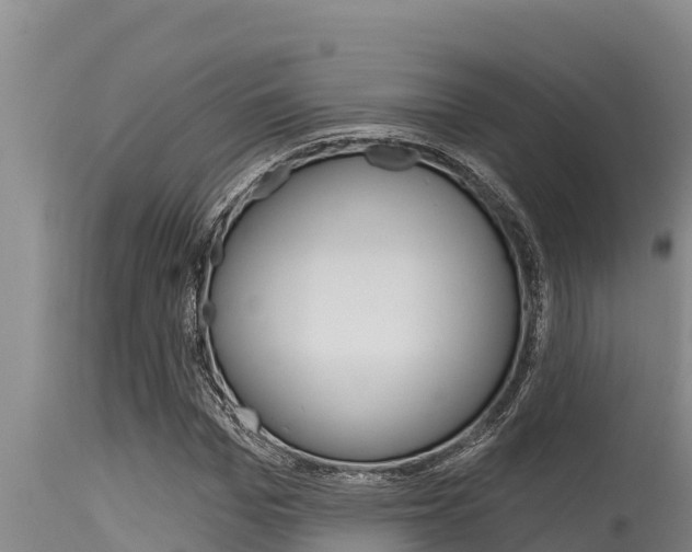 X0000115770969200911131018