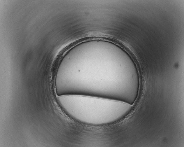 X0000115770971200911131018