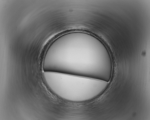 X0000115770975200911131018