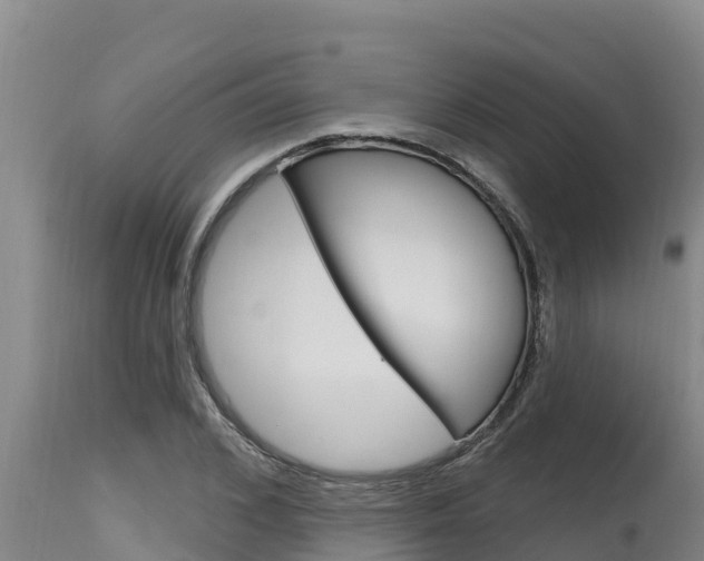 X0000115770976200911131018