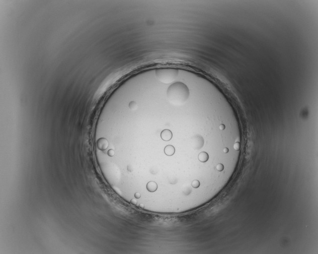 X0000115770978200911131018