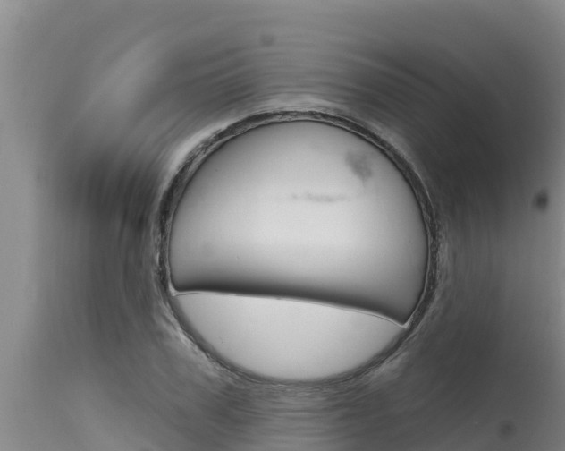 X0000115770979200911131018