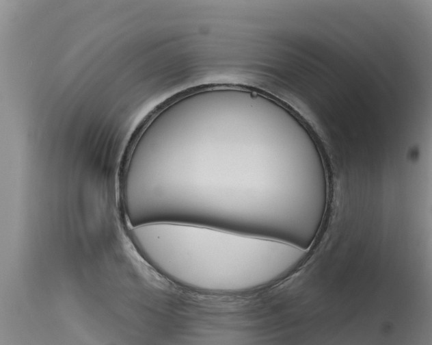 X0000115770980200911131018