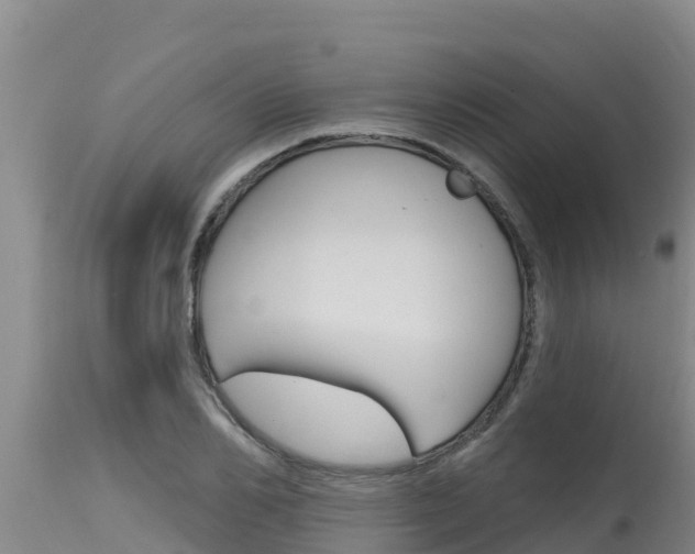 X0000115770982200911131018