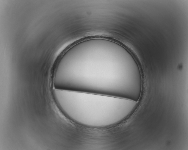 X0000115770983200911131018