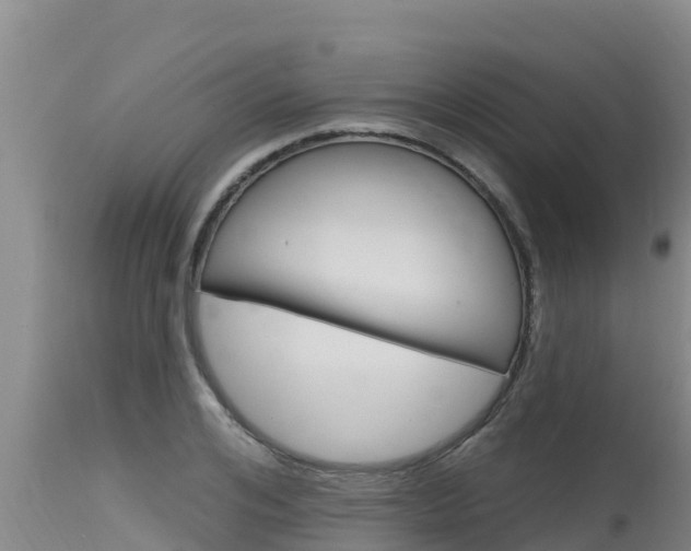 X0000115770984200911131018