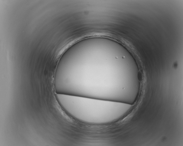 X0000115770985200911131018