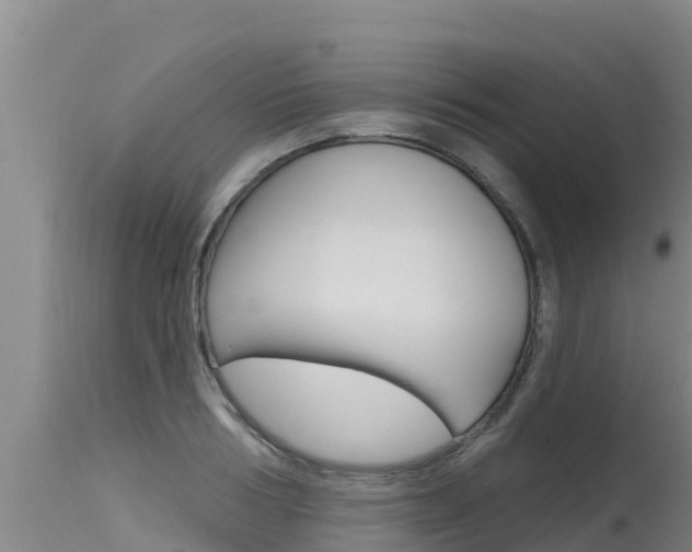X0000115770986200911131018